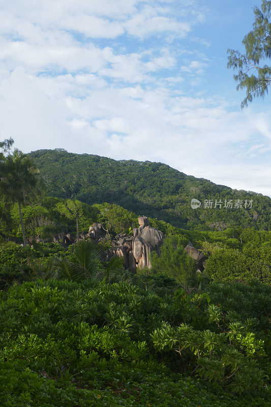 大安西岛，拉迪格岛，塞舌尔岛