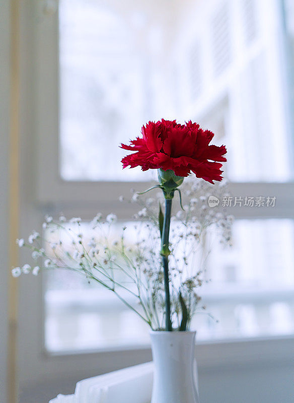 花瓶里的红玫瑰