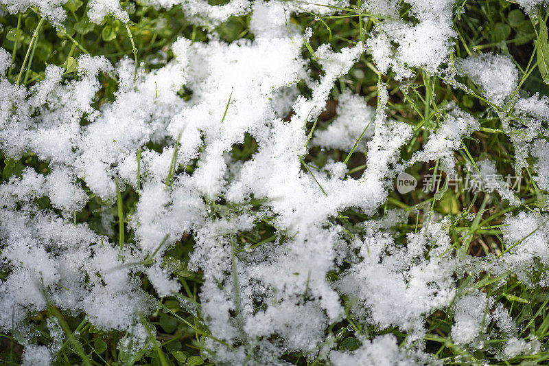 春天，融化的雪落在草坪上