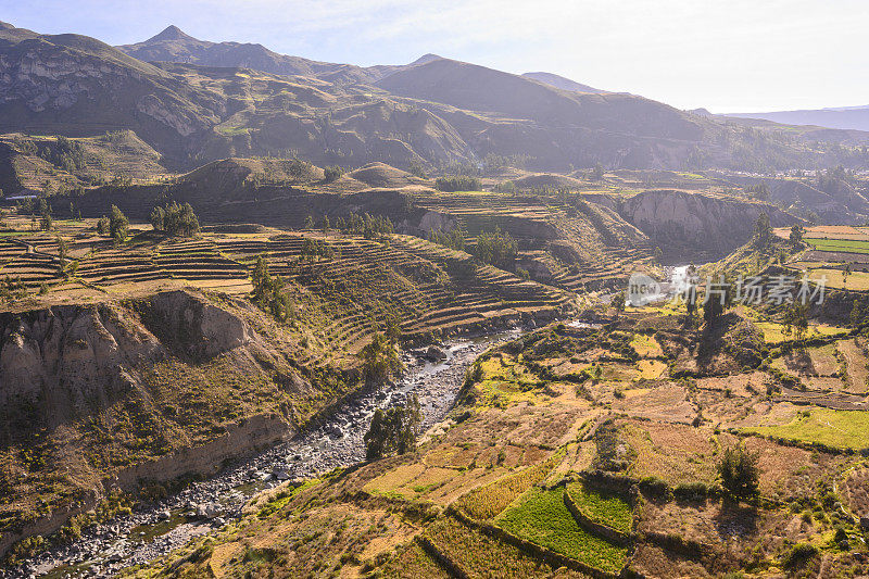 秘鲁科尔卡峡谷的阶梯式梯田