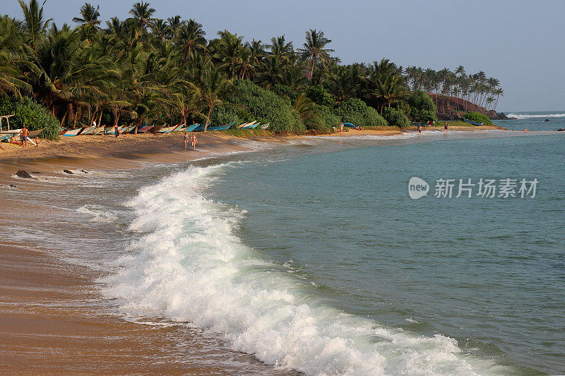 海浪拍打着长满棕榈树的沙滩