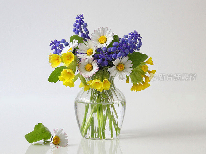 花瓶里放一束春天的五彩花朵。花卉静物。