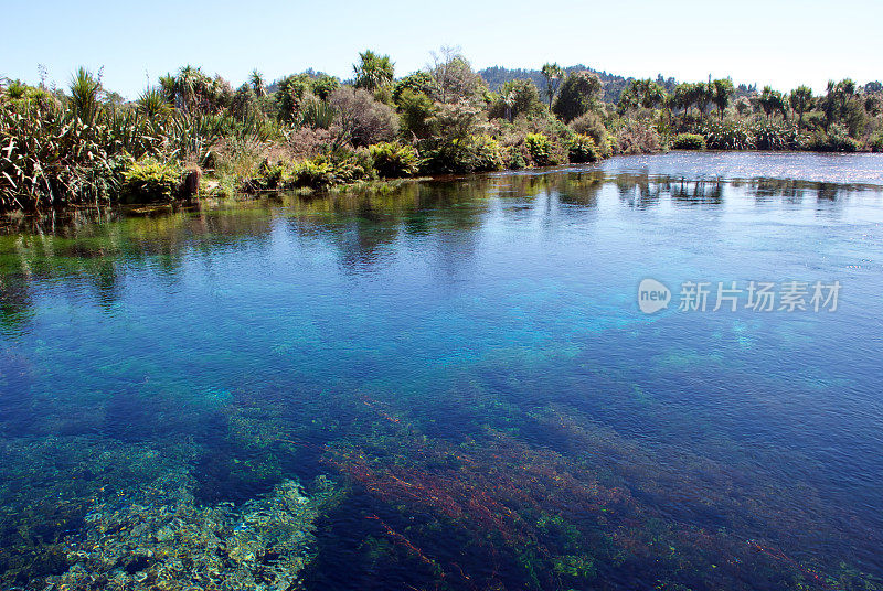 新西兰，塔卡，金湾，特怀科罗普温泉