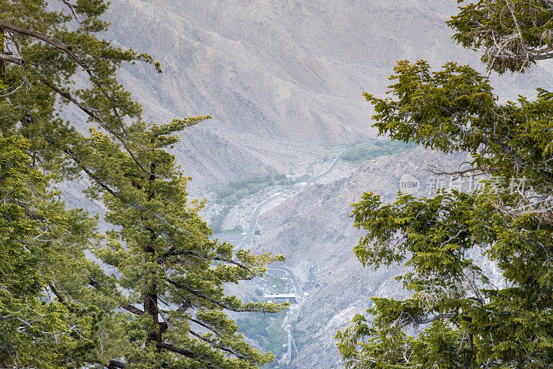 科切拉山谷和棕榈泉