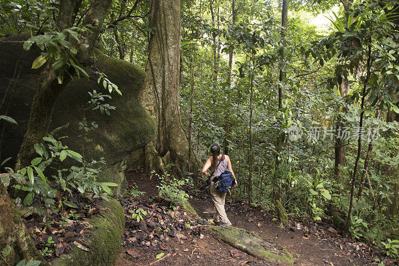 一名女子徒步穿越马达加斯加多管闲事的曼加布岛热带雨林保护区