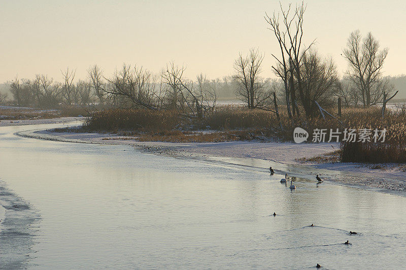 冬季的河流景观