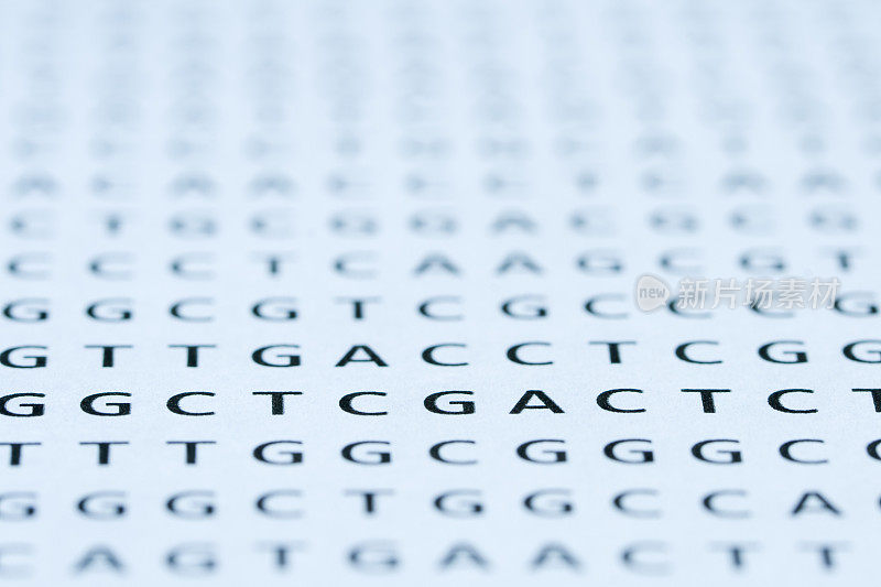 直接查看DNA核苷酸序列打印输出