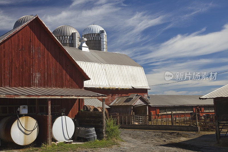 美国佛蒙特州的奶牛农场建筑、奶牛和围栏