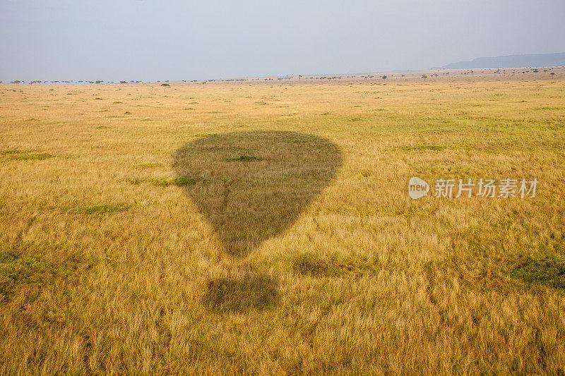 马赛马拉上空热气球的剪影