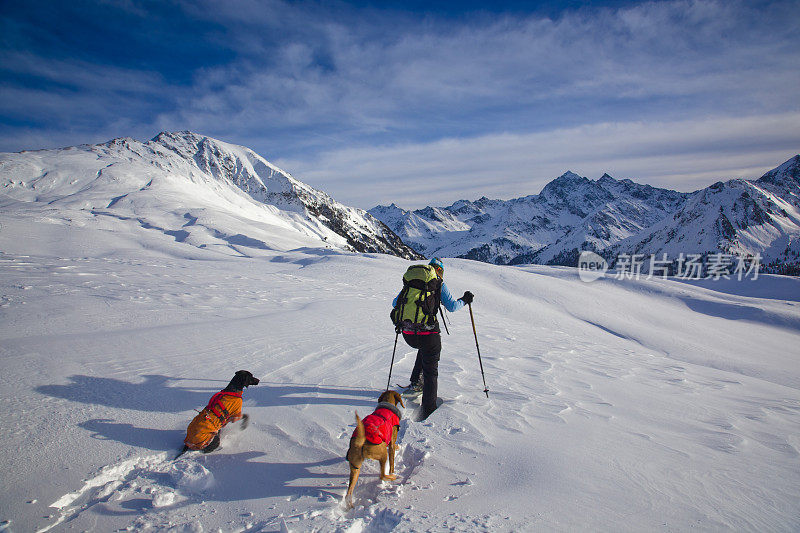 一个男人和他的狗在山上穿雪鞋