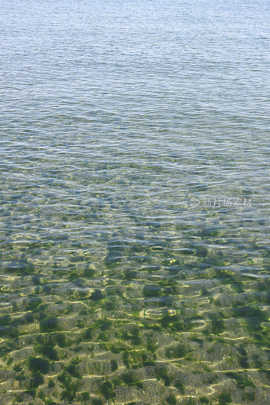 浅海的水面背景