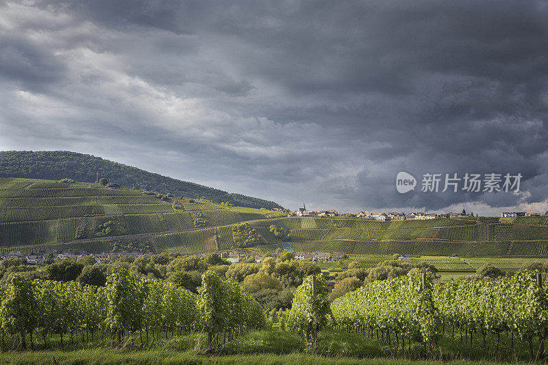 德国葡萄酒产区摩泽尔河的风景