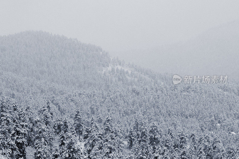 科罗拉多州派克国家森林四月的暴风雪