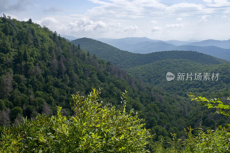 蓝岭山脉