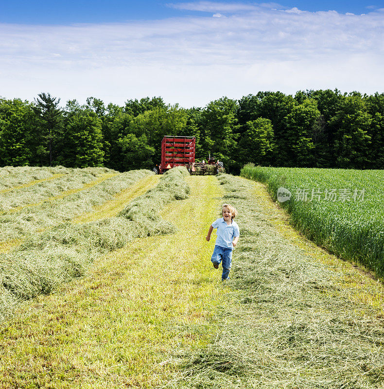 农场小孩在刚割好的干草上奔跑