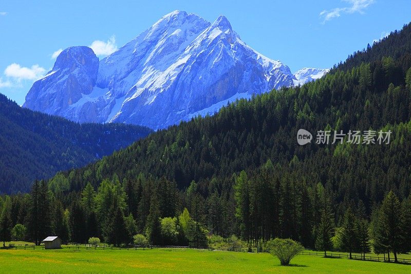 白云石高山景观，绿色松树山谷，科尔蒂纳，南泰洛