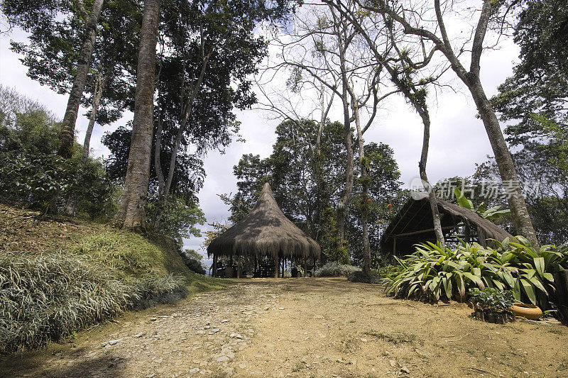 亚马逊的小屋