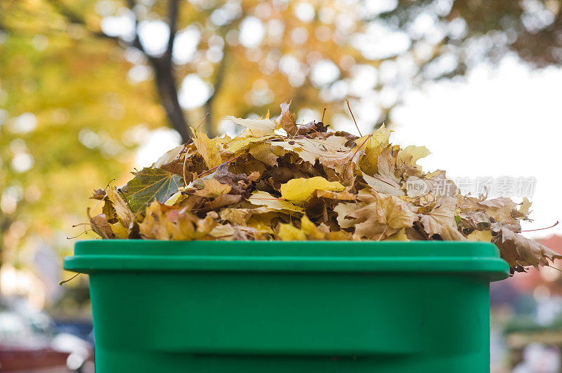 落叶堆在堆肥箱里