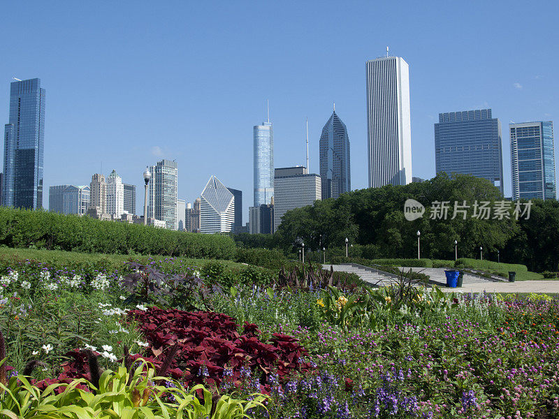 芝加哥天际线和夏日鲜花