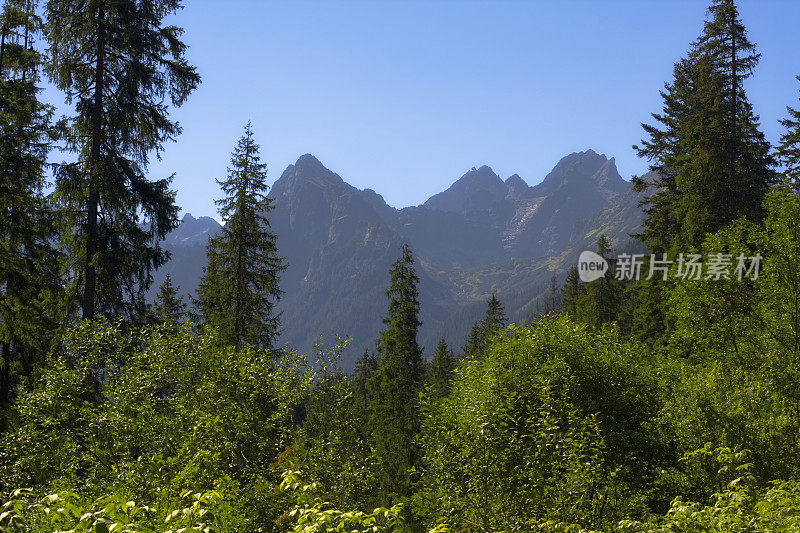 高山