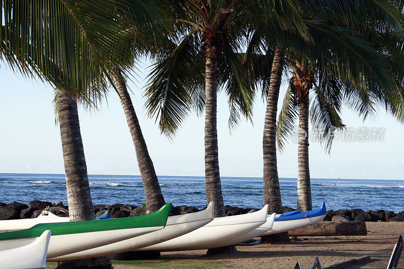 夏威夷棕榈树海滩上的双体船