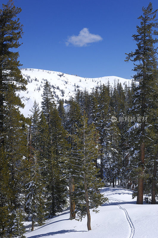 穿越冬季山地景观的滑雪道