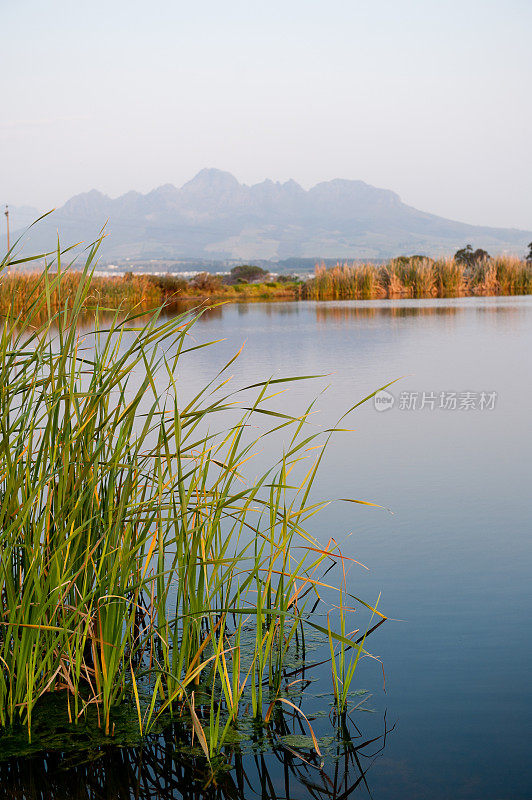 Stellenbosch景观