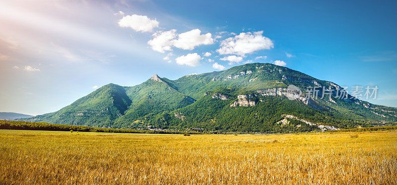 美丽的法国山景，在明亮的夕阳下的麦田