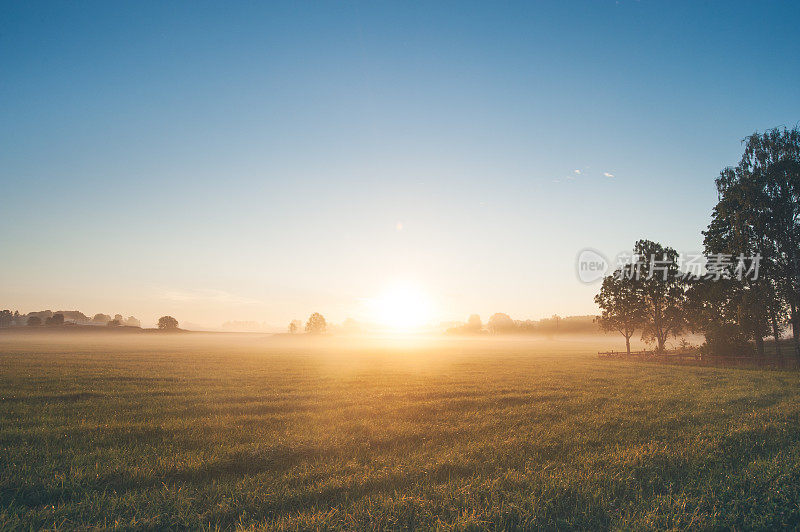 初夏清晨，薄雾笼罩的田野上美丽的日出
