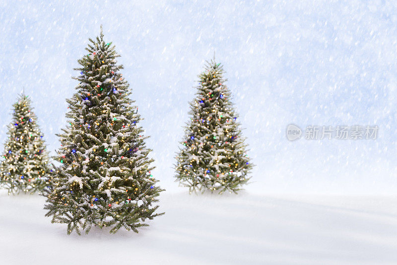 圣诞树下雪的冬天场景背景