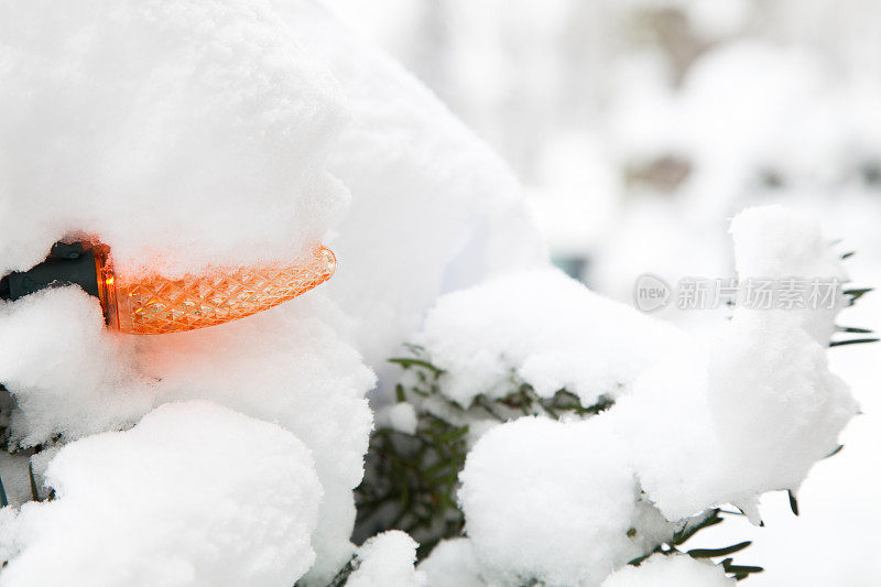 白雪覆盖的松柏树上挂着橙色的圣诞灯