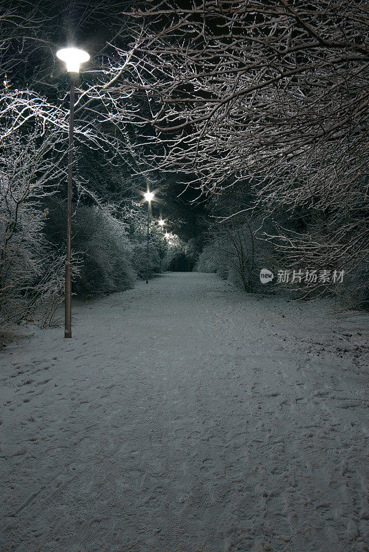 雪散步