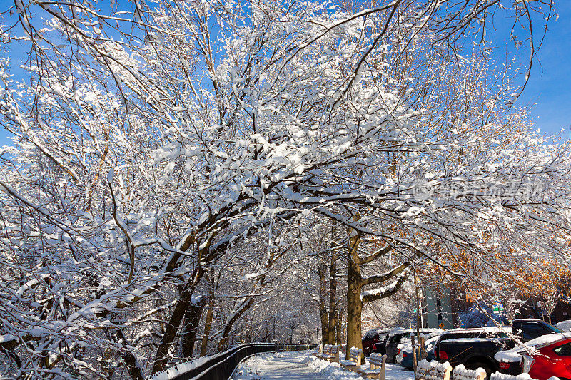 纽约下雪了。