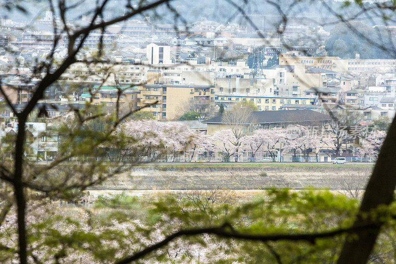 日本本州的京都