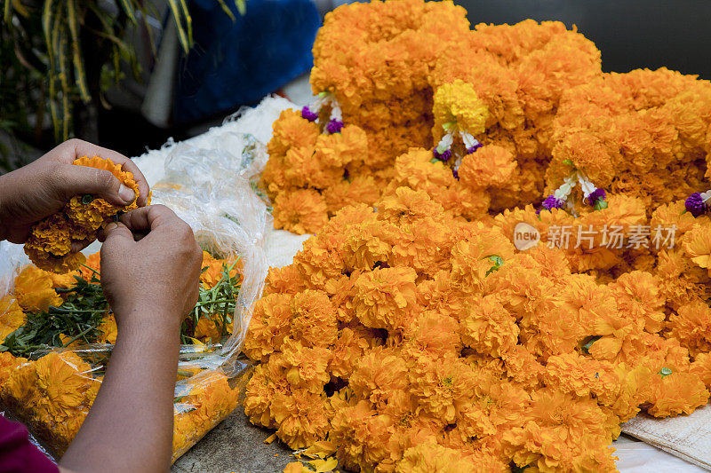 泰国曼谷的花卉市场