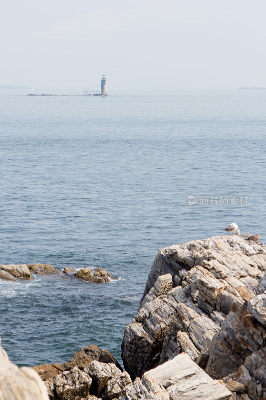 缅因州海岸线与灯塔的背景