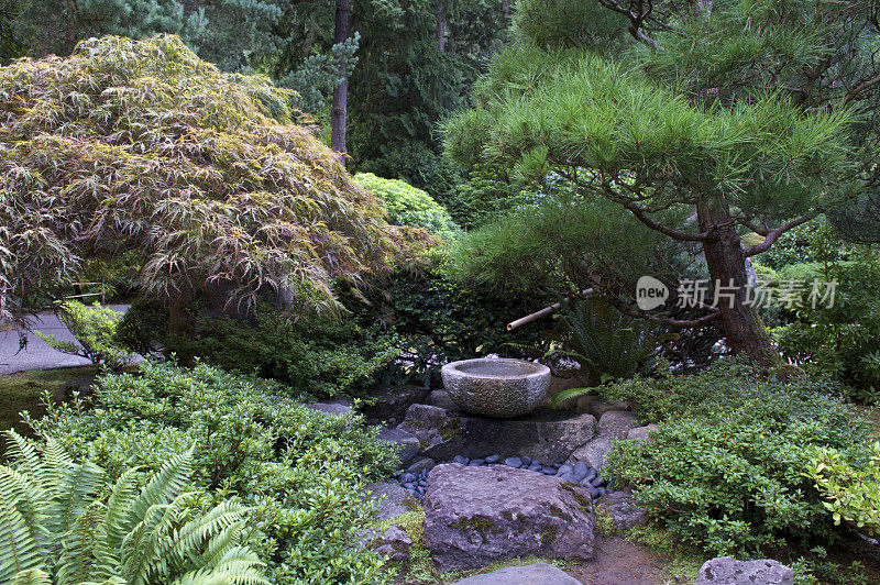 混凝土竹水喷泉，波特兰日本花园俄勒冈州