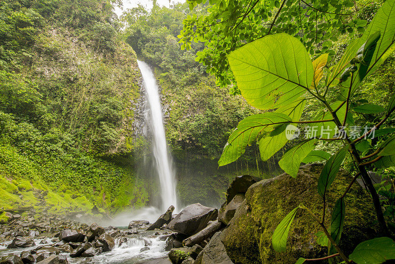 瀑布从热带雨林的山上流过