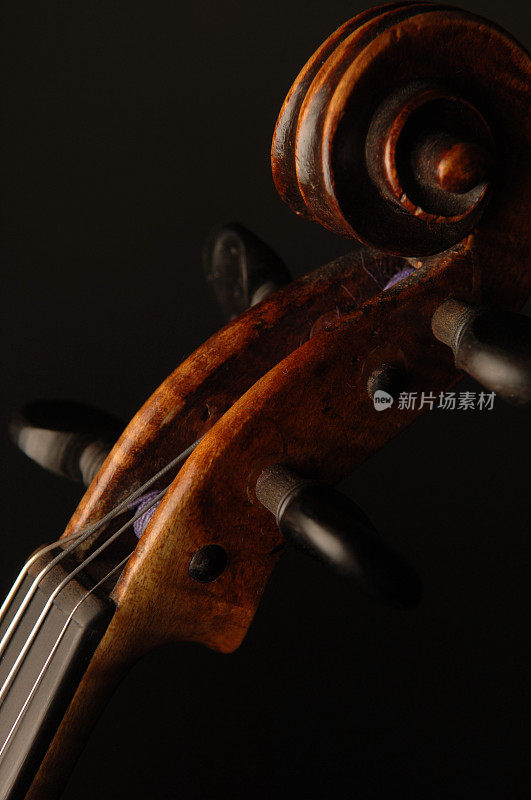 古老的小提琴卷轴与黑檀木调谐钉子上