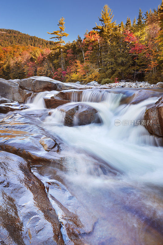 河流通过秋天的树叶，斯威夫特河下游瀑布，新罕布什尔州，美国