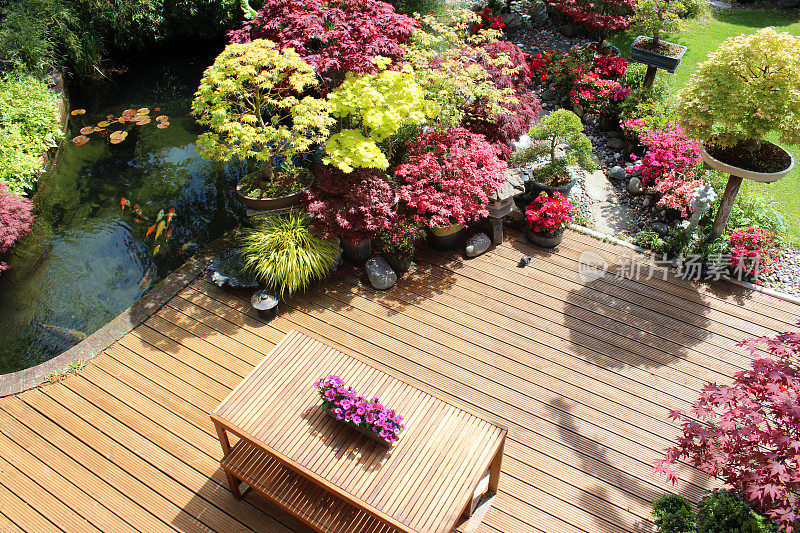 上面的花园装饰，锦鲤池，日本枫树