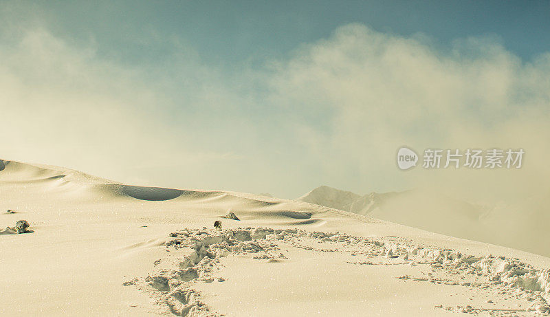 山上的雪