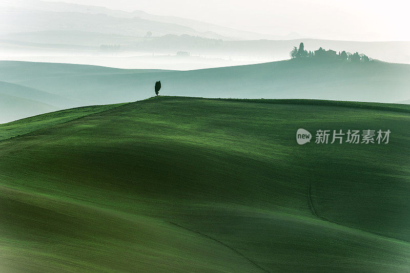 托斯卡纳农舍,清晨,霜冻,冬天,绿色,薄雾,意大利。