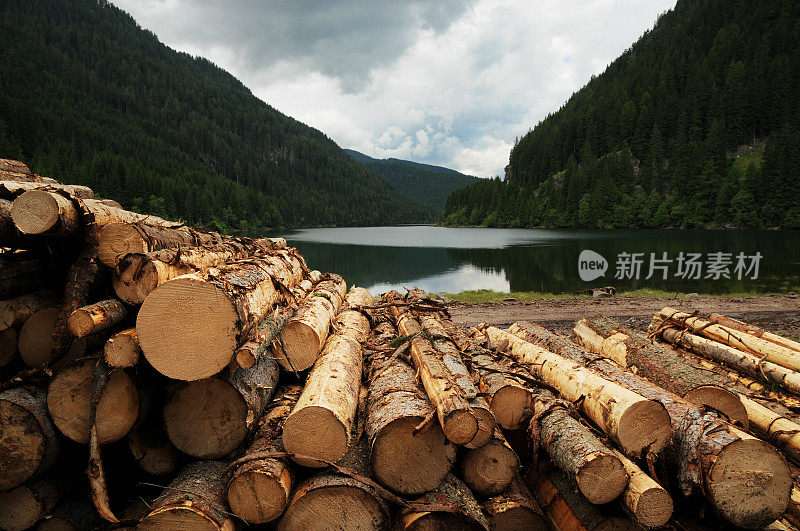 在意大利Dolomites的Fortebuso湖砍伐树干。