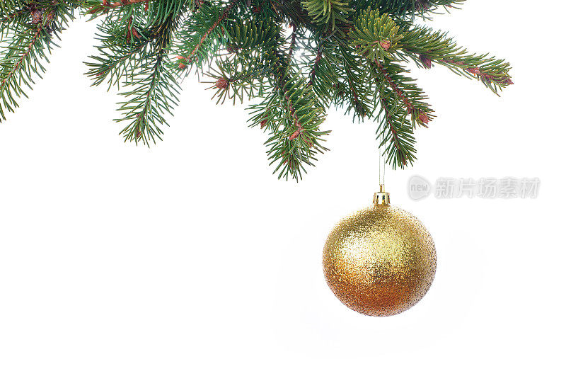 在白色的衬托下，一棵冷杉的树枝上挂着金光闪闪的圣诞装饰物