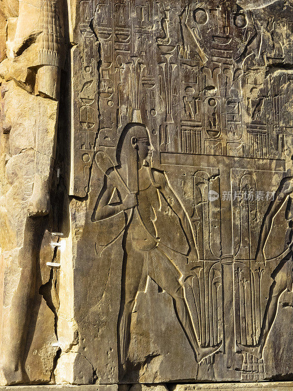 埃及代尔巴哈里哈特谢普苏特太平间神庙中的象形文字