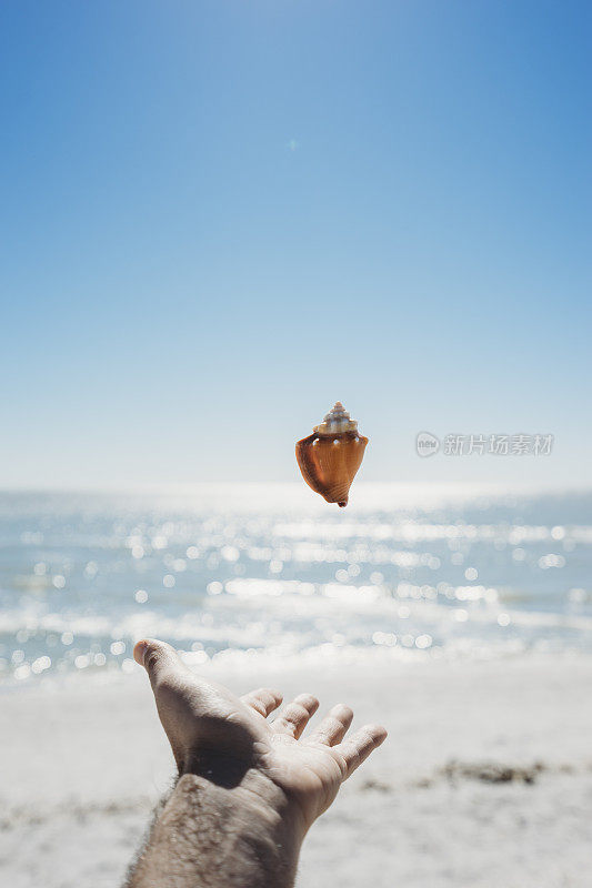 在海滩上玩贝壳