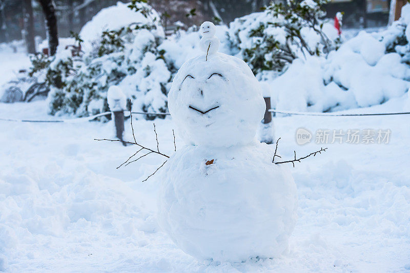 东京下雪了。第二天，艺术作品在公园里排着队。