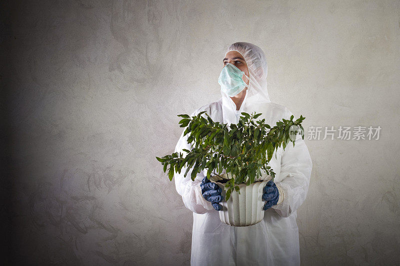 穿着防护服的人拿着一株植物