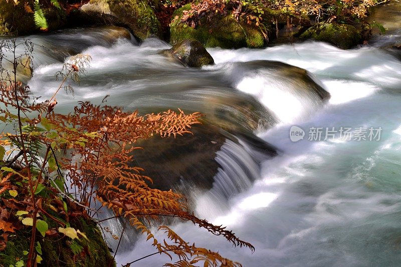 日本青森市秋天的磐濑山溪